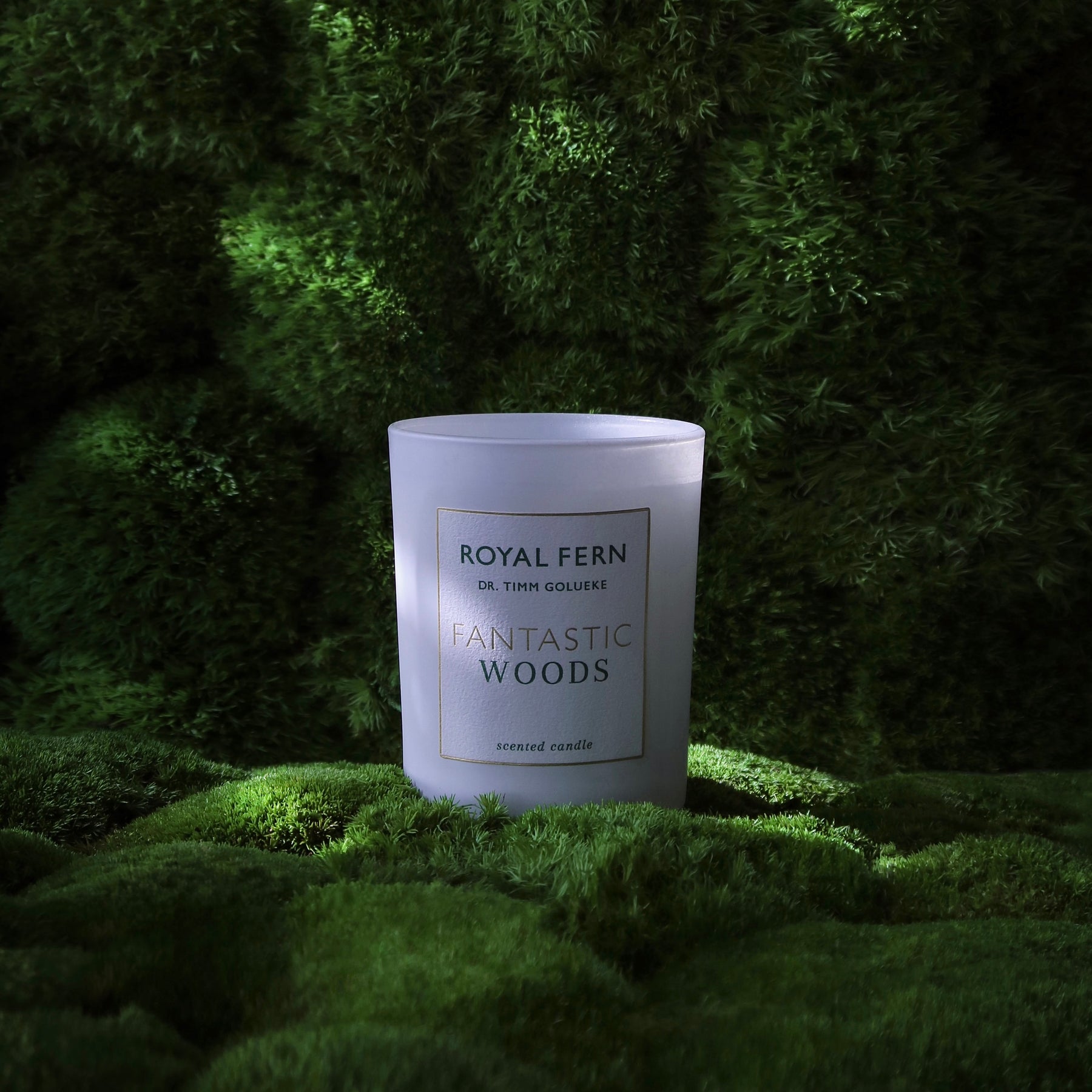 Fantastic Woods Gift